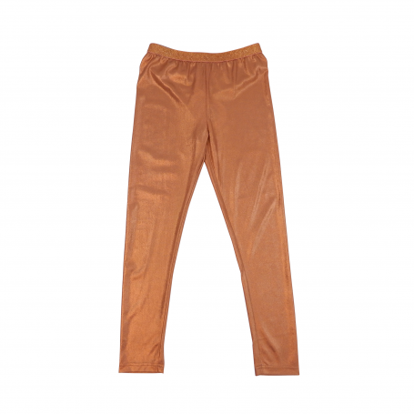images/productimages/small/gouden-legging.png